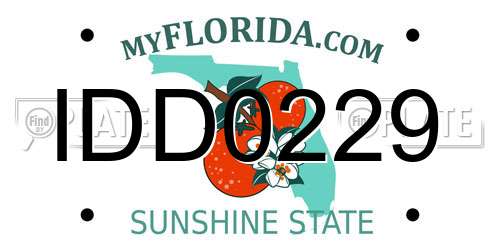 IDD0229 Florida License Plate