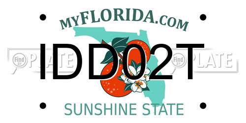 IDD02T Florida License Plate