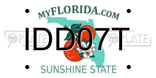 IDD07T Florida License Plate