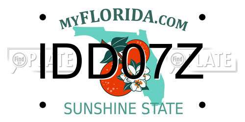 IDD07Z Florida License Plate