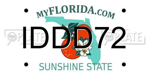 IDDD72 Florida License Plate