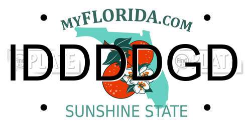 IDDDDGD Florida License Plate