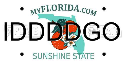 IDDDDGO Florida License Plate