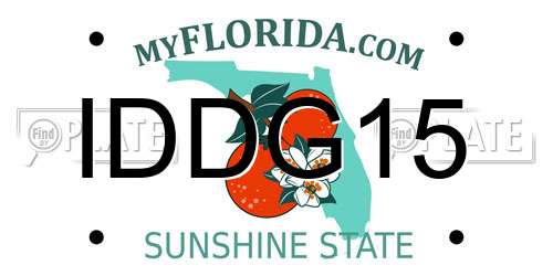 IDDG15 Florida License Plate