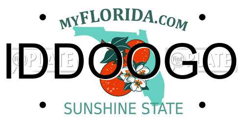 IDDOOGO Florida License Plate