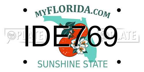 IDE769 Florida License Plate