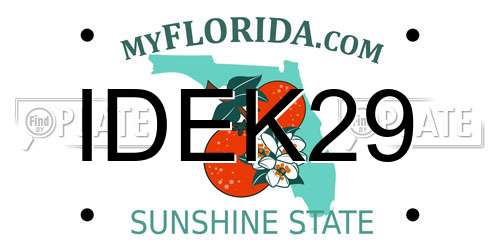 IDEK29 Florida License Plate