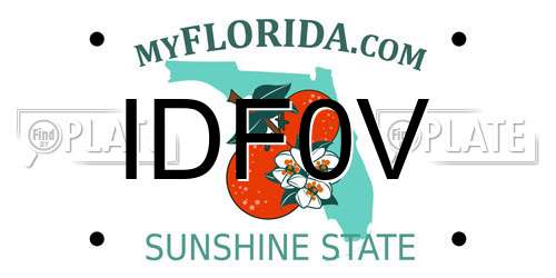 IDF0V Florida License Plate