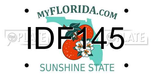 IDF145 Florida License Plate