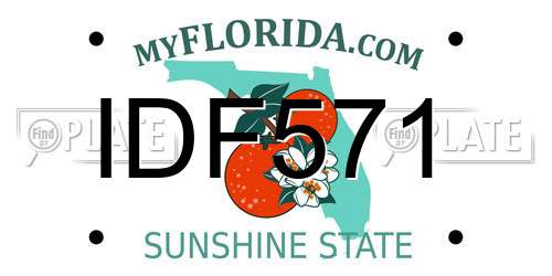 IDF571 Florida License Plate