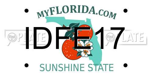 IDFE17 Florida License Plate