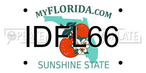 IDFL66 Florida License Plate