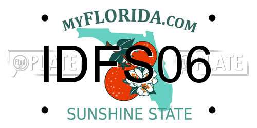 IDFS06 Florida License Plate