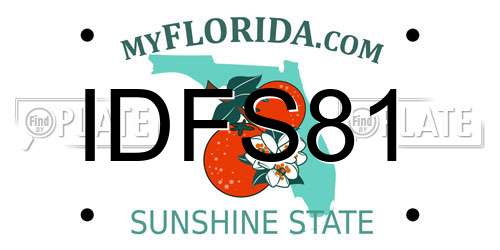 IDFS81 Florida License Plate