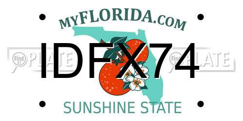 IDFX74 Florida License Plate