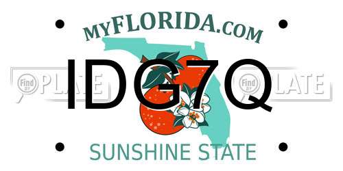 IDG7Q Florida License Plate