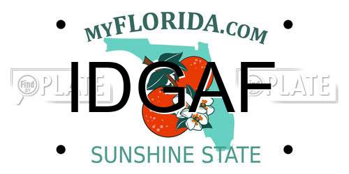 IDGAF Florida License Plate