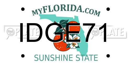 IDGE71 Florida License Plate