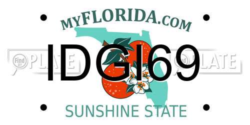 IDGI69 Florida License Plate