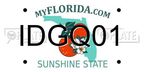 IDGQ01 Florida License Plate