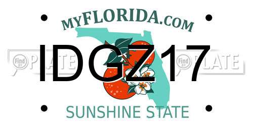 IDGZ17 Florida License Plate