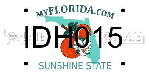 IDH015 Florida License Plate