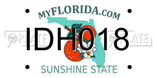 IDH018 Florida License Plate