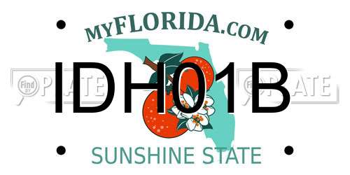 IDH01B Florida License Plate