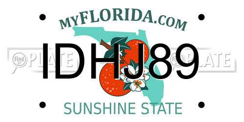 IDHJ89 Florida License Plate