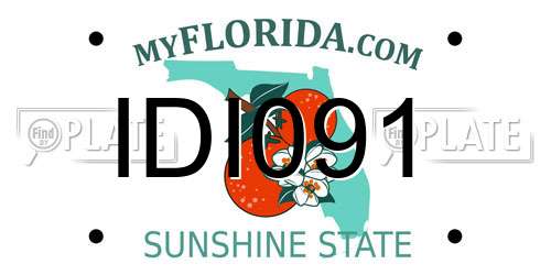 IDI091 Florida License Plate