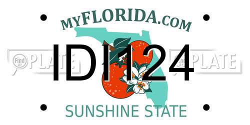 IDI124 Florida License Plate