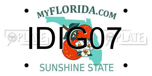 IDIG07 Florida License Plate