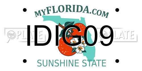IDIG09 Florida License Plate