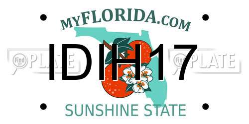 IDIH17 Florida License Plate