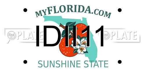 IDII11 Florida License Plate