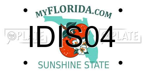 IDIS04 Florida License Plate