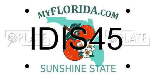 IDIS45 Florida License Plate