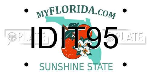 IDIT95 Florida License Plate