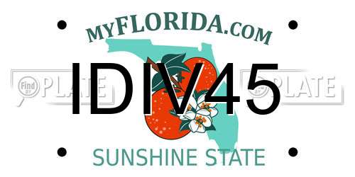 IDIV45 Florida License Plate