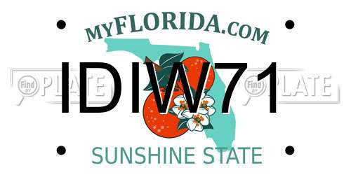 IDIW71 Florida License Plate