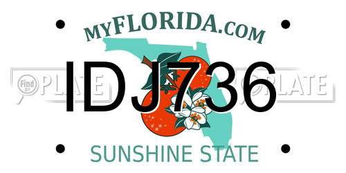 IDJ736 Florida License Plate