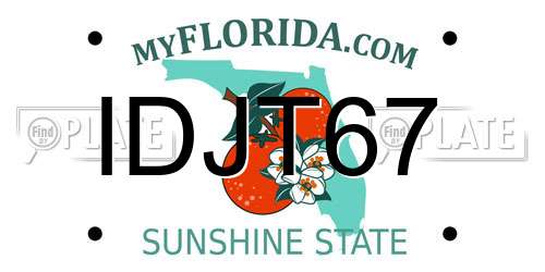 IDJT67 Florida License Plate
