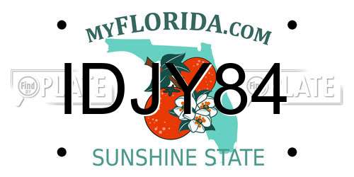 IDJY84 Florida License Plate