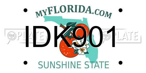 IDK901 Florida License Plate