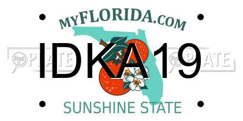IDKA19 Florida License Plate