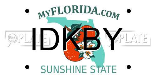 IDKBY Florida License Plate