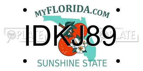 IDKJ89 Florida License Plate