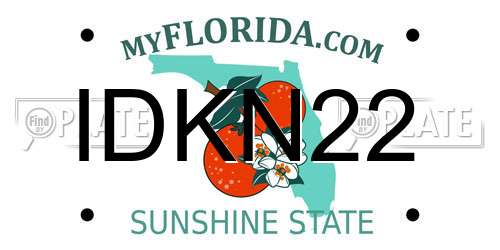 IDKN22 Florida License Plate