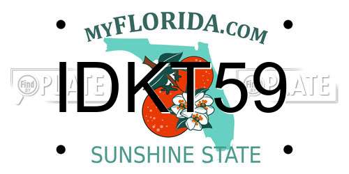 IDKT59 Florida License Plate