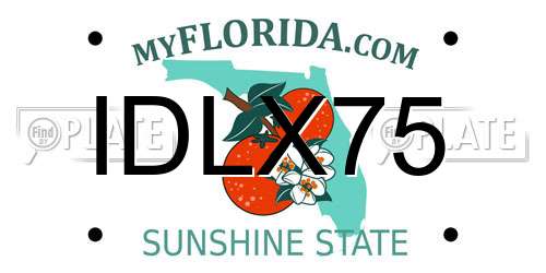 IDLX75 Florida License Plate